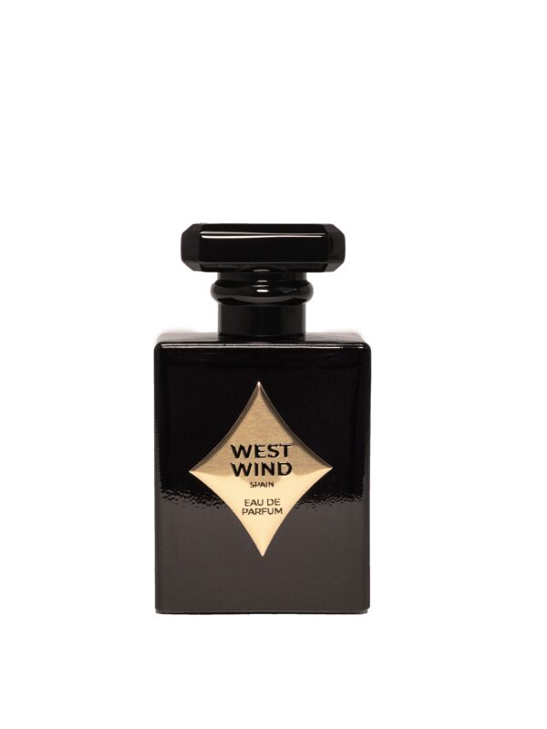 IMG 2348 copy scaled